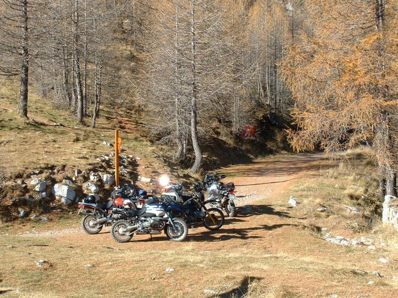 Rast im herbstlichen Wald  ...